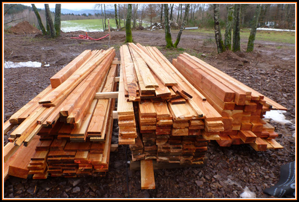 construction ossature bois